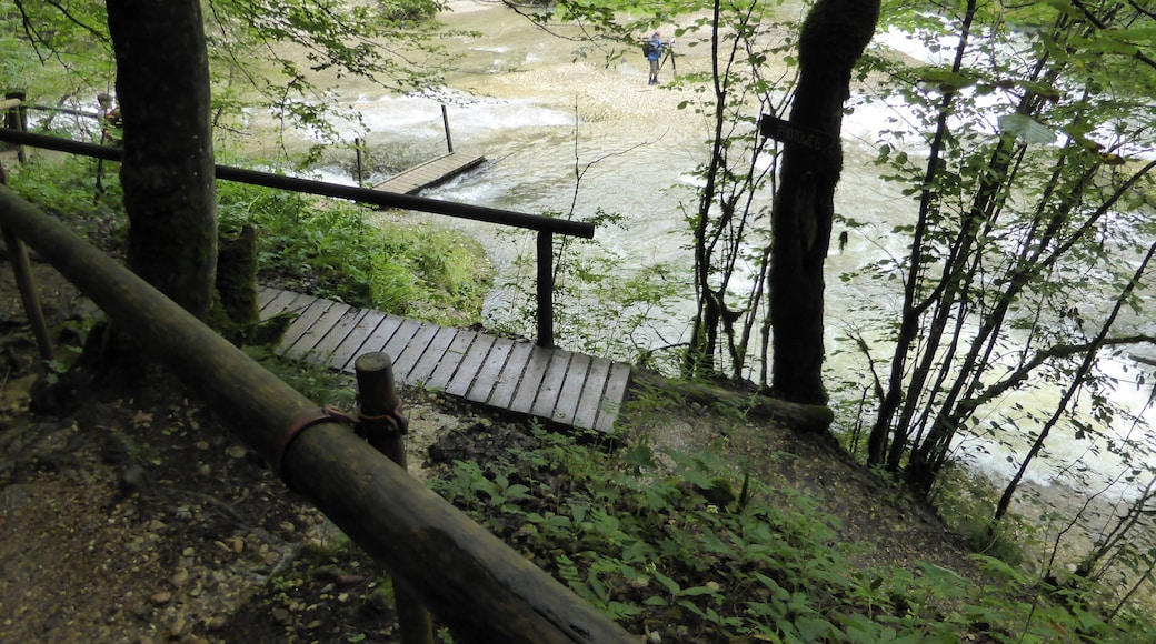 Der Eistobel zwischen der Ortschaft Schüttentobel und der Argentobelbrücke im Westallgäu.