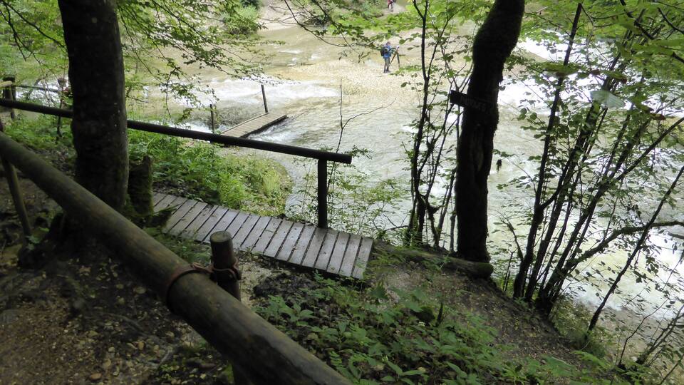 A wooden bridge over a river, surrounded by dense forest.
