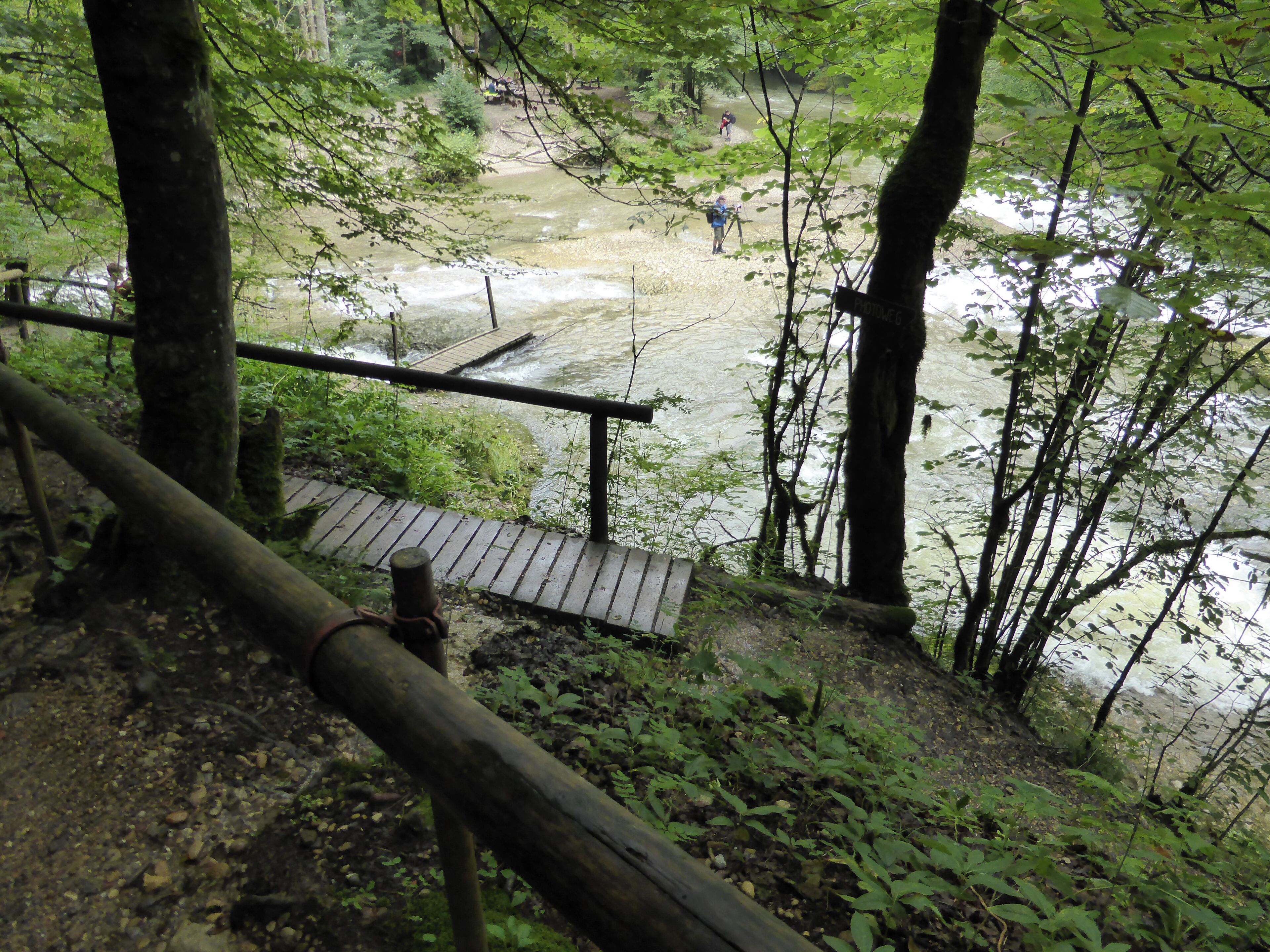 A wooden bridge over a river, surrounded by dense forest.