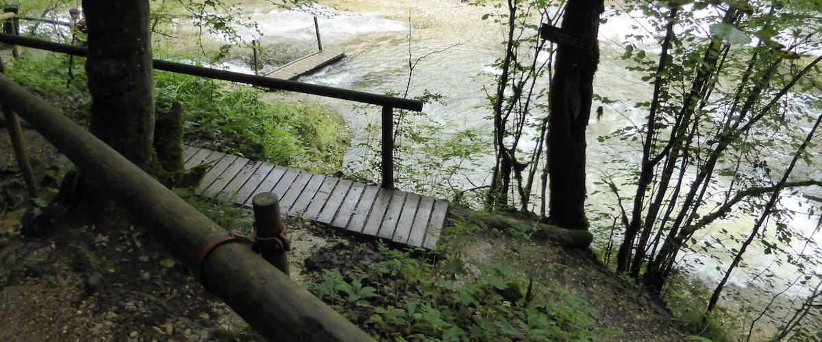 A wooden bridge over a river, surrounded by dense forest.