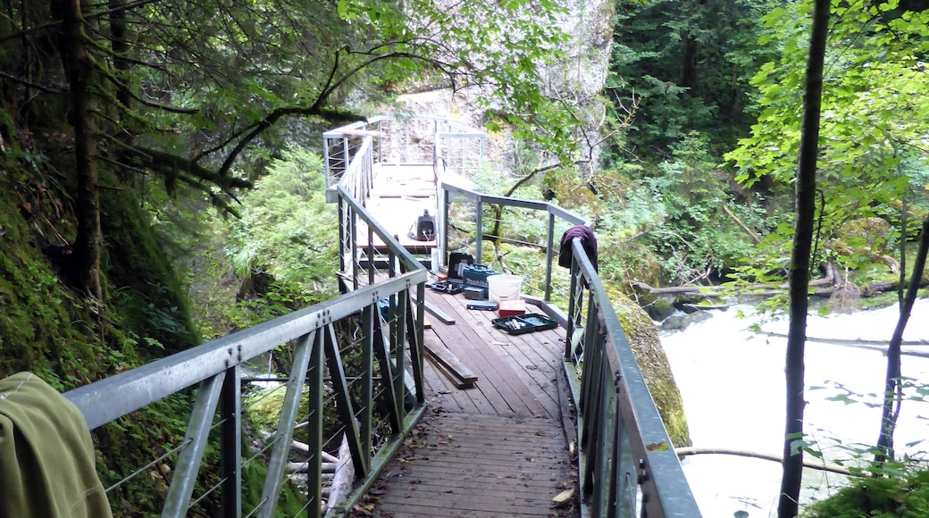 Der Eistobel zwischen der Ortschaft Schüttentobel und der Argentobelbrücke im Westallgäu.