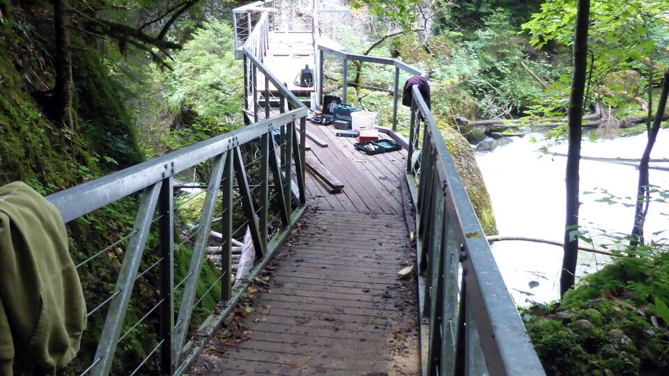 A wooden staircase leading to a viewing platform with metal railings, surrounded by lush greenery and overlooking a body of water.
