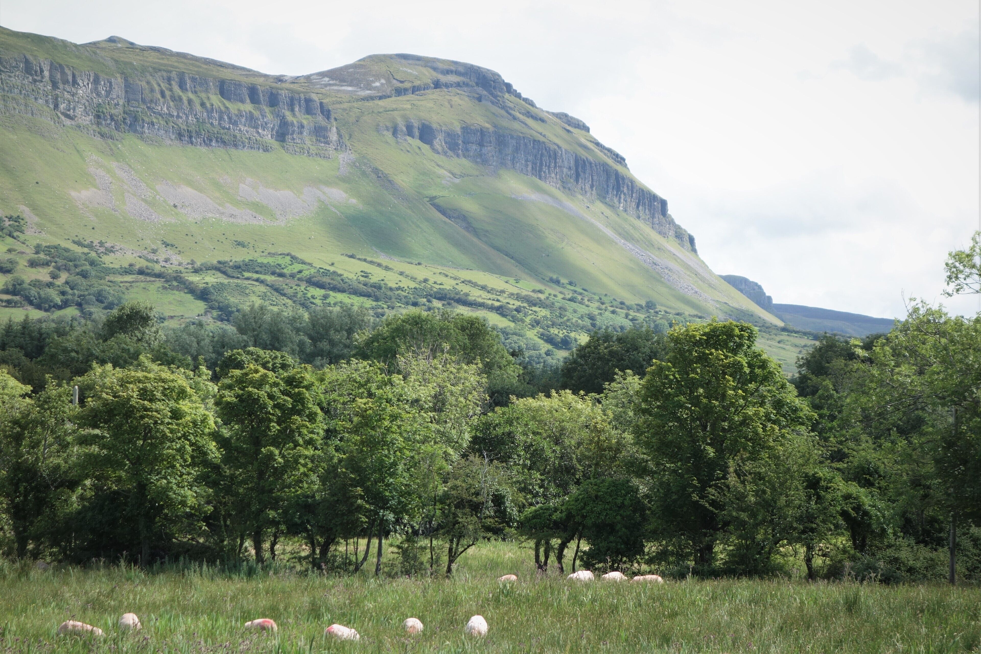 Undoubtedly Ireland’s most distinctive mountain, Benbulben is sometimes referred to as Ireland’s own Table Mountain. The most distinctive peak among the Dartry range, it was formed during the ice age by massive glaciers segmenting the landscape  #Nature