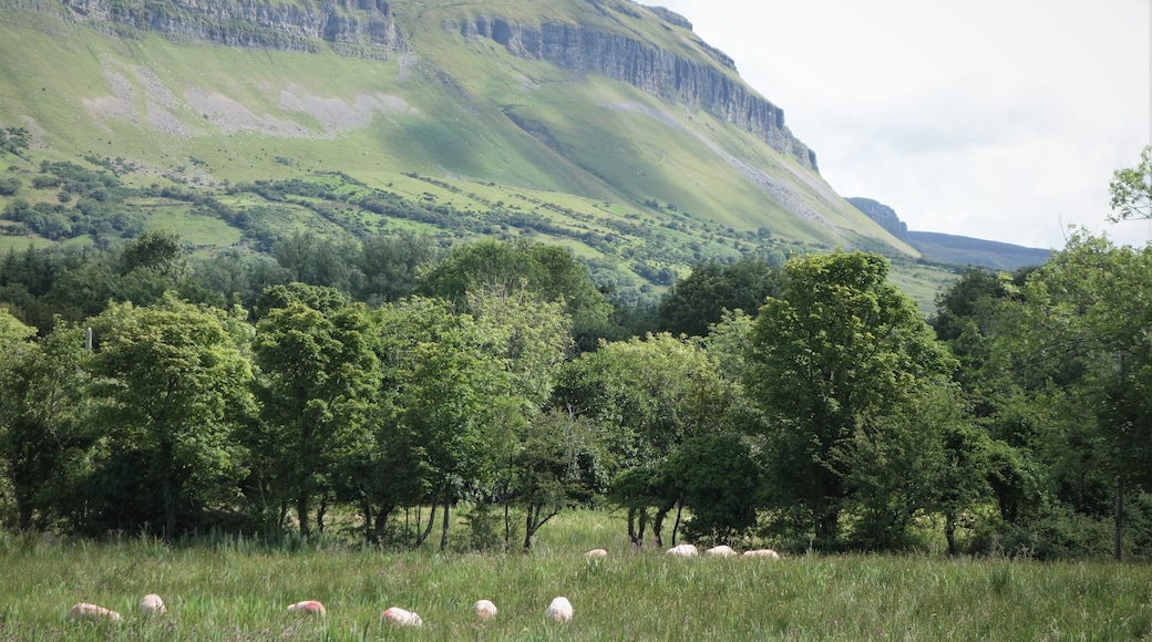 Undoubtedly Ireland’s most distinctive mountain, Benbulben is sometimes referred to as Ireland’s own Table Mountain. The most distinctive peak among the Dartry range, it was formed during the ice age by massive glaciers segmenting the landscape #Nature