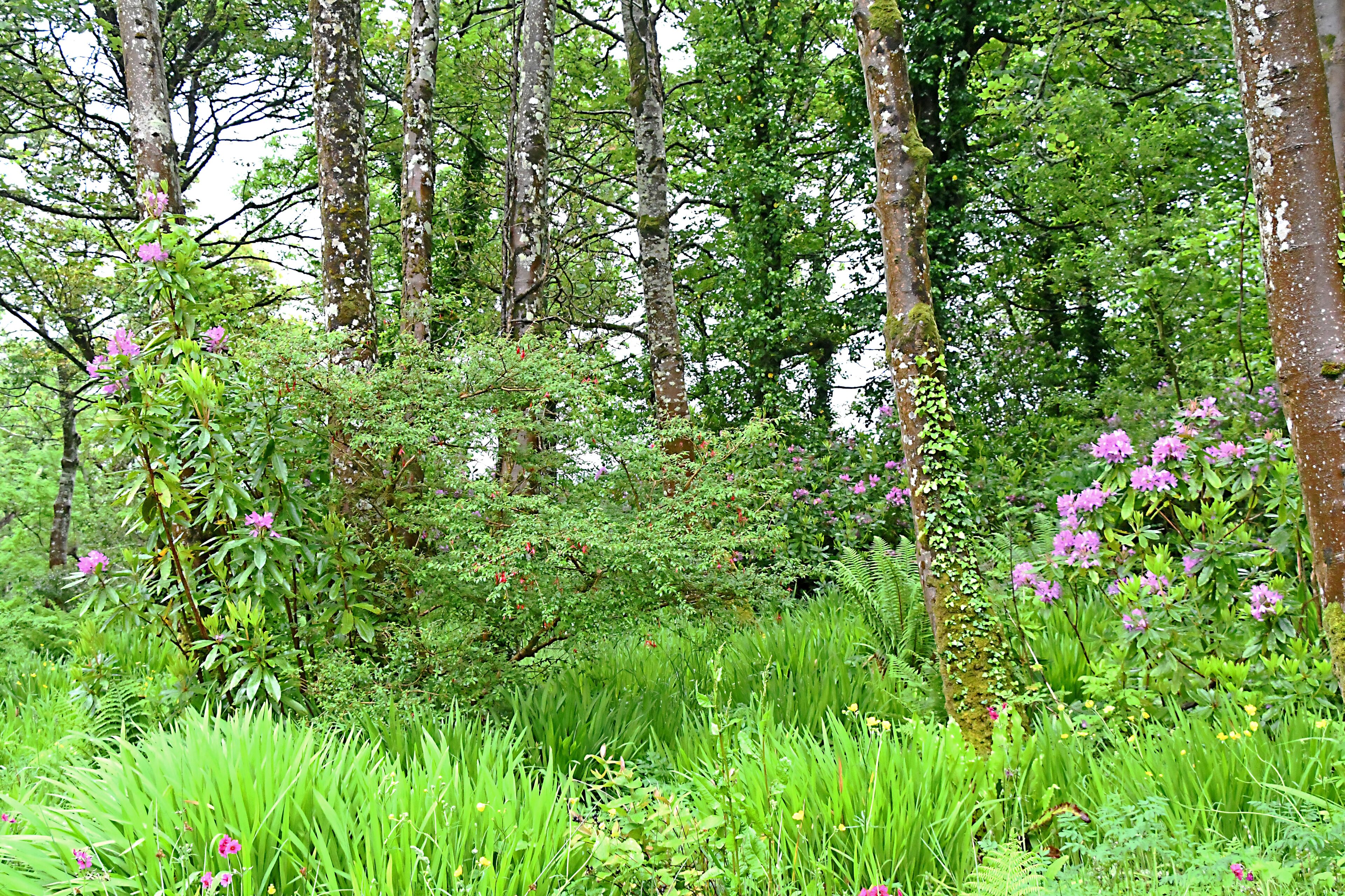 Part of the estate. #Nature