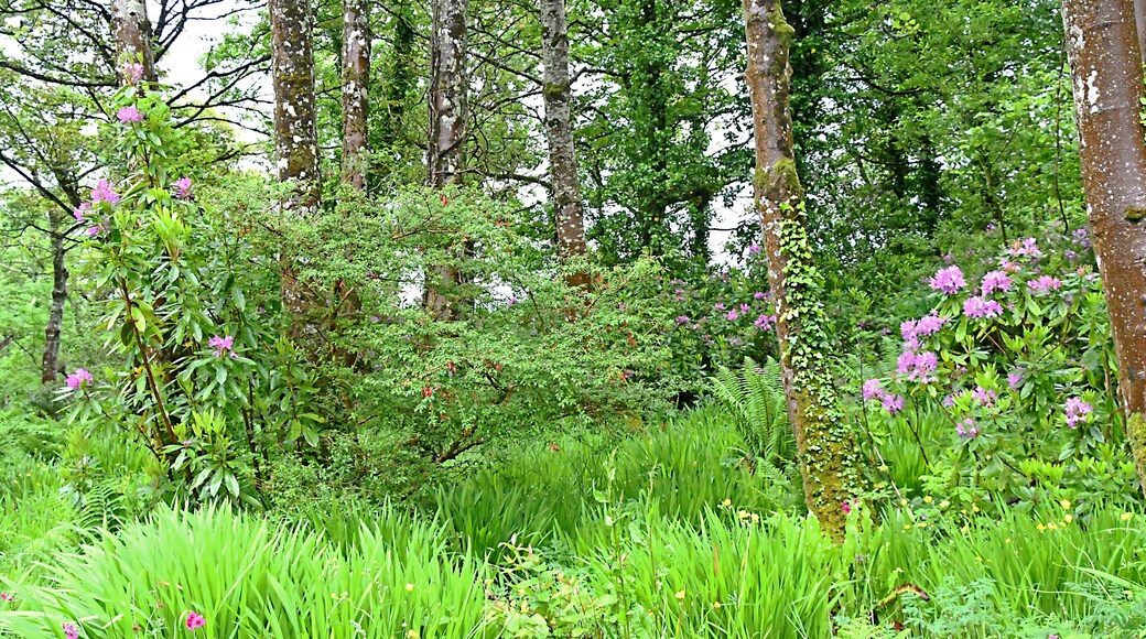 Part of the estate. #Nature