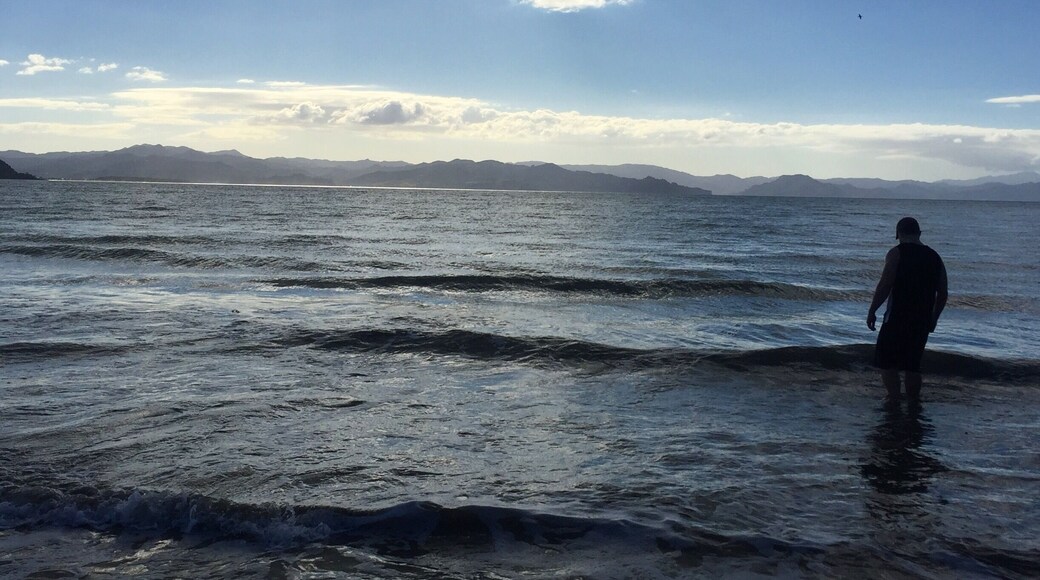 Incredible view. First day on a campervan trip heading south from Auckland.