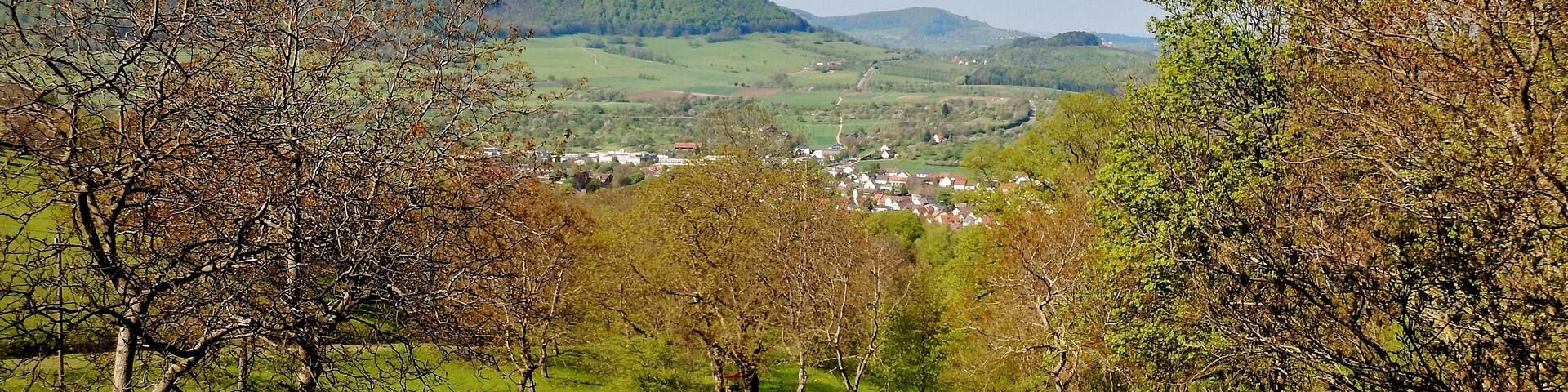 A lush green valley with rolling hills and scattered trees.