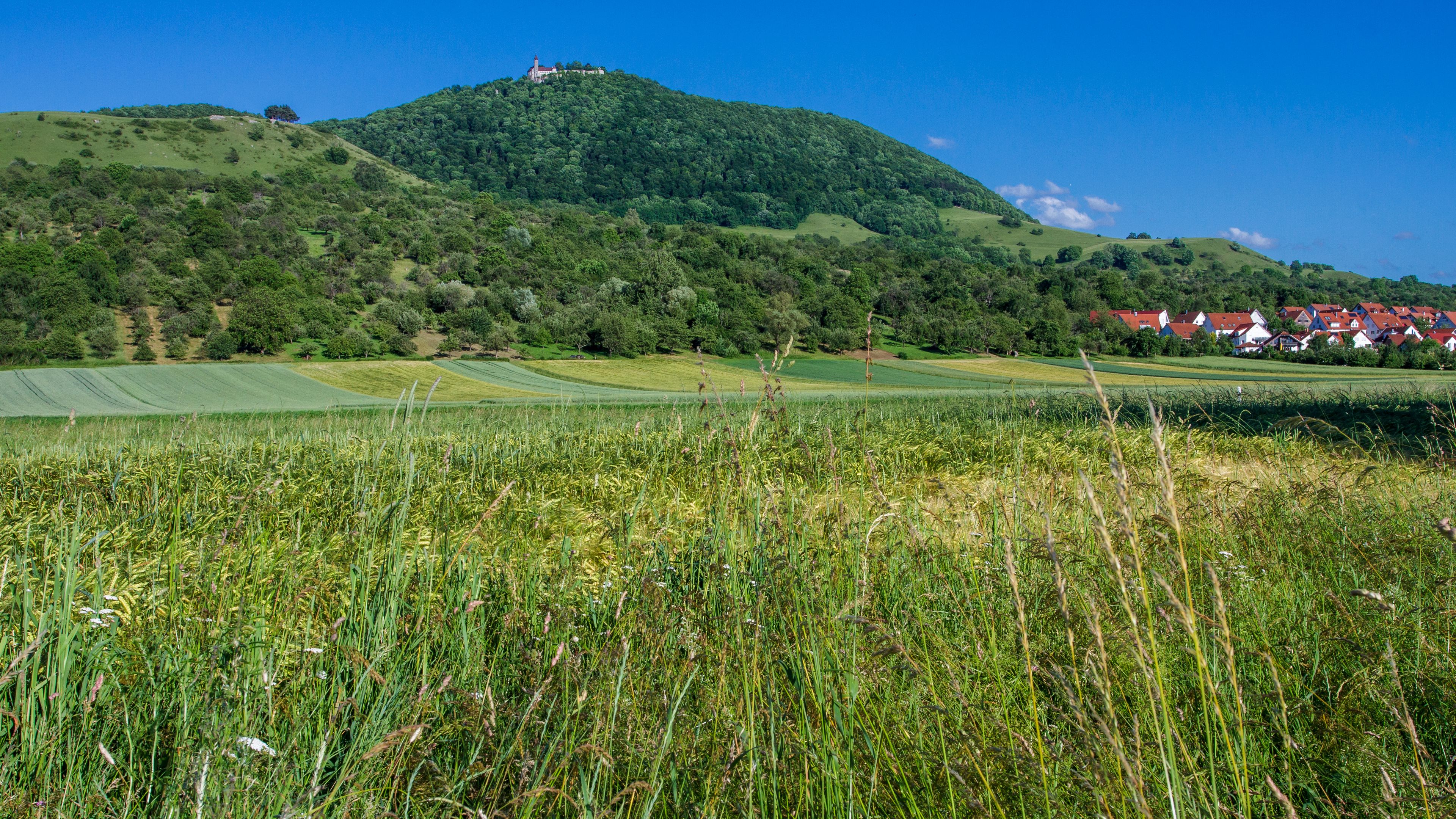 Blick zur Burg Teck bei Owen, Baden-Württemberg, Deutschland