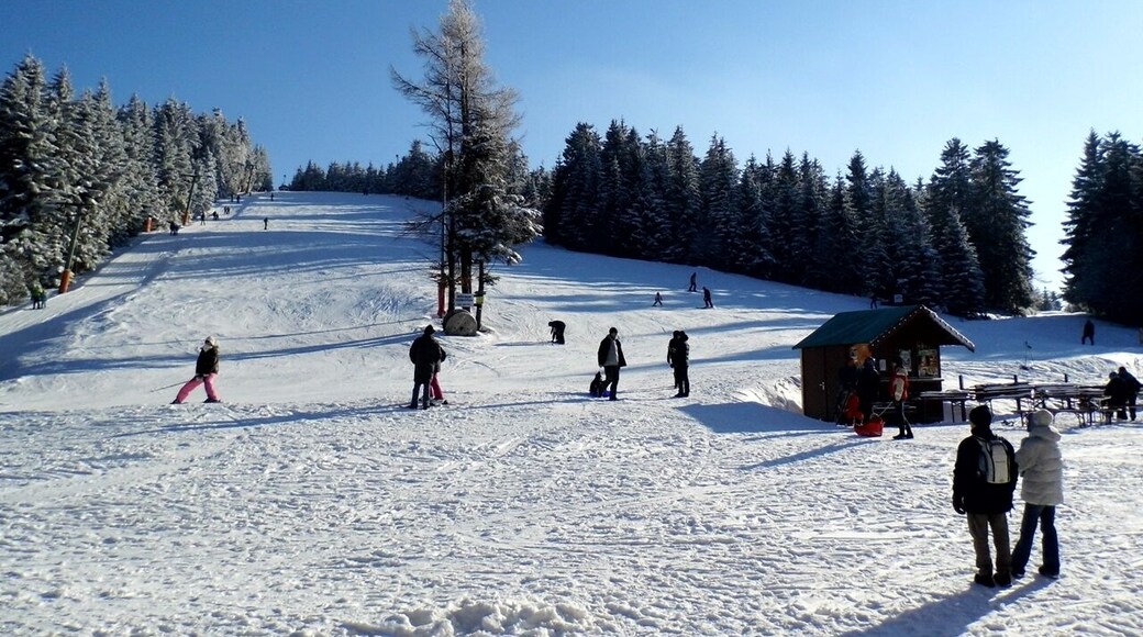 Skizirkus Unterstmatt