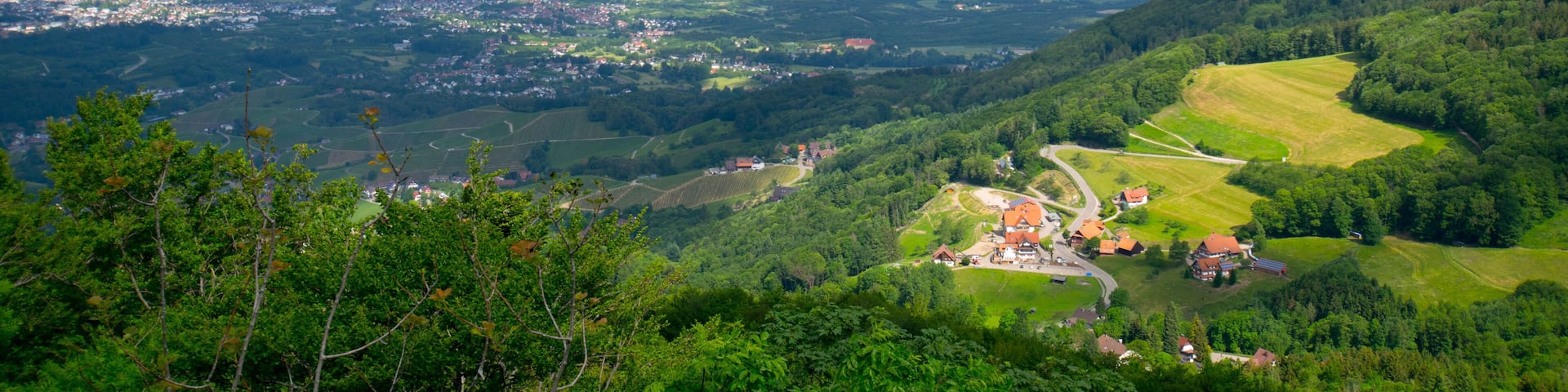 Blick vom Brigittenschloss in Sasbachwalden im Schwarzwald