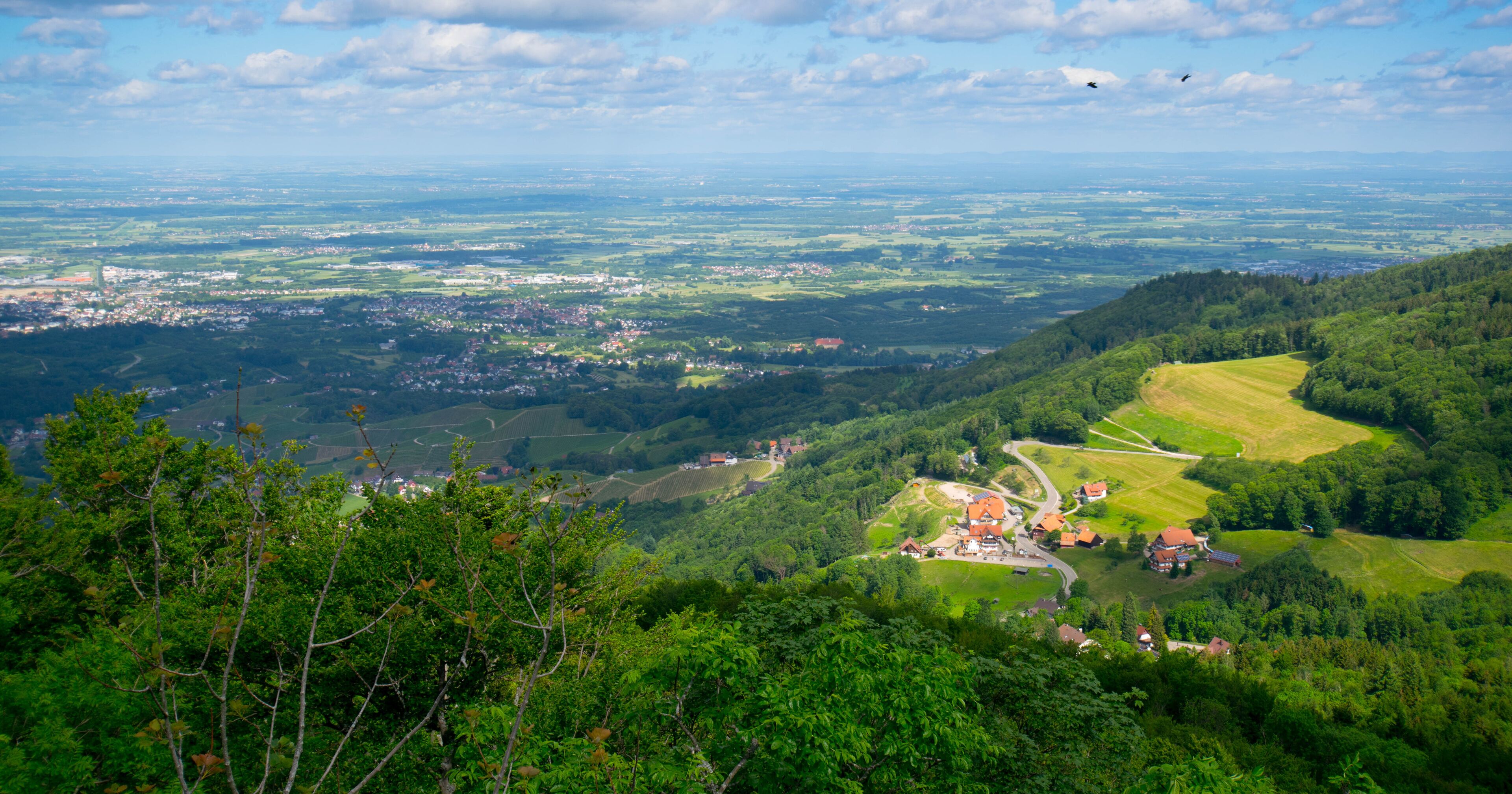 A panoramic view of a lush valley with rolling hills, a winding road, and scattered houses.