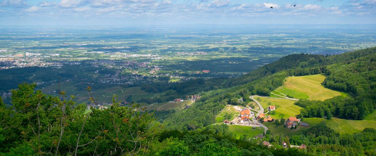 A panoramic view of a lush valley with rolling hills, a winding road, and scattered houses.