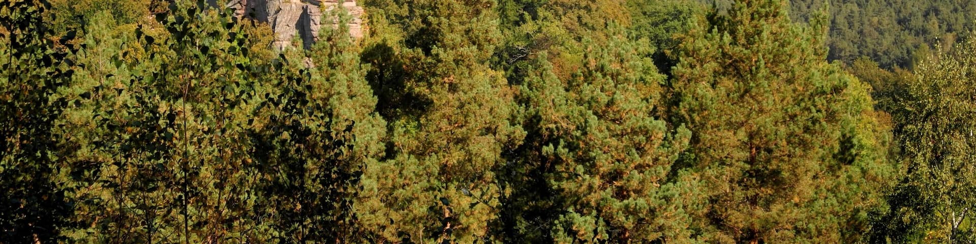 Erlenbach-Sicht auf Burg Berwartstein