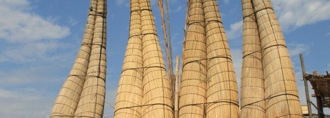 Although this once tranquil fishing hamlet is now a popular destination on Peru's 'Gringo Trail', it has clung proudly to its fishing roots. These narrow boats, made from the same reeds used by the Uros in the Lake Titicaca region, are still in use today.
They're known as 'Caballitos de Tortora', meaning "little horses" because of the way they are 'ridden' by the fishermen who use them.
If you wake up early enough (and I mean early; these fishermen are already casting their bait before the sun rises) you can witness an age old tradition in practice.
Read more about Huanchaco here:
http://galloparoundtheglobe.com/huanchaco/