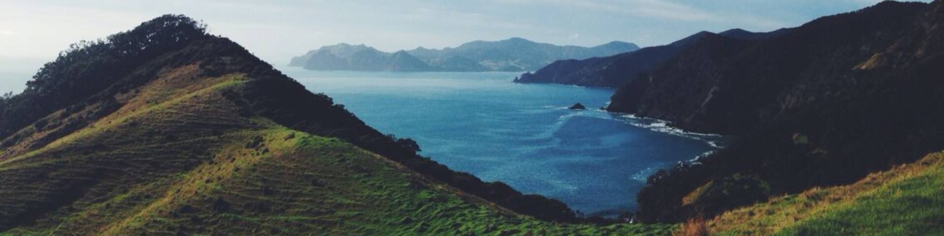The Coromandel Walkway from Fletcher Bay to Stony Bay (or other way around) all up north in Coromandel is simply stunning. It's a relatively easy walk (3hrs one way) but has some of the best views of Coromandel.
#hiking #newzealand