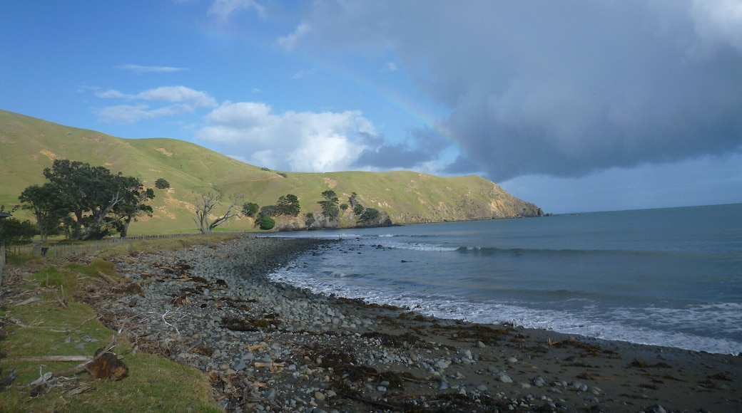 Fall asleep to the sound of waves crashing on the beach and wake up to a rainbow :)
Port Jackson campground at the tip of the Coromandel Peninsula is reached via one lane dirt road but is worth the bumps.
http://www.doc.govt.nz/parks-and-recreation/places-to-go/coromandel/places/northern-coromandel/things-to-do/port-jackson-campsite/
#newzealand #coromandel #beach #rainbow