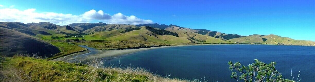 Looking down at our campsite at Port Jackson Campground from a hill along the Muriwai Walk that starts at the end of the beach.

#beach

http://kileetravels.com/camping-in-the-coromandel/