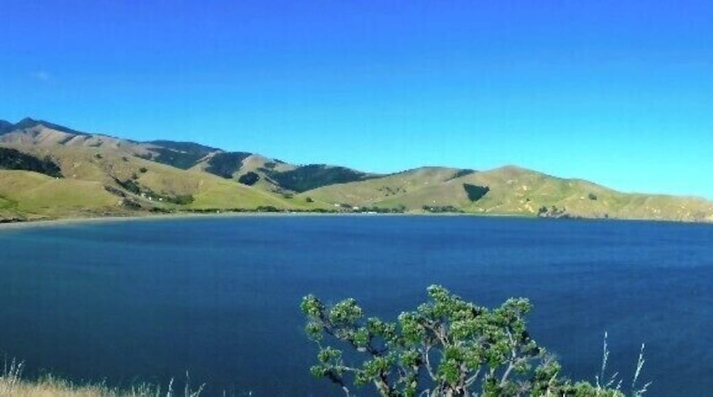 Looking down at our campsite at Port Jackson Campground from a hill along the Muriwai Walk that starts at the end of the beach.
#beach
http://kileetravels.com/camping-in-the-coromandel/