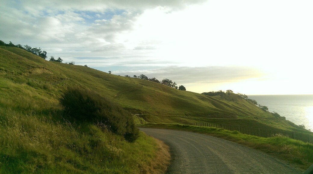 Beautiful drive up to Port Jackson in New Zealand #Green