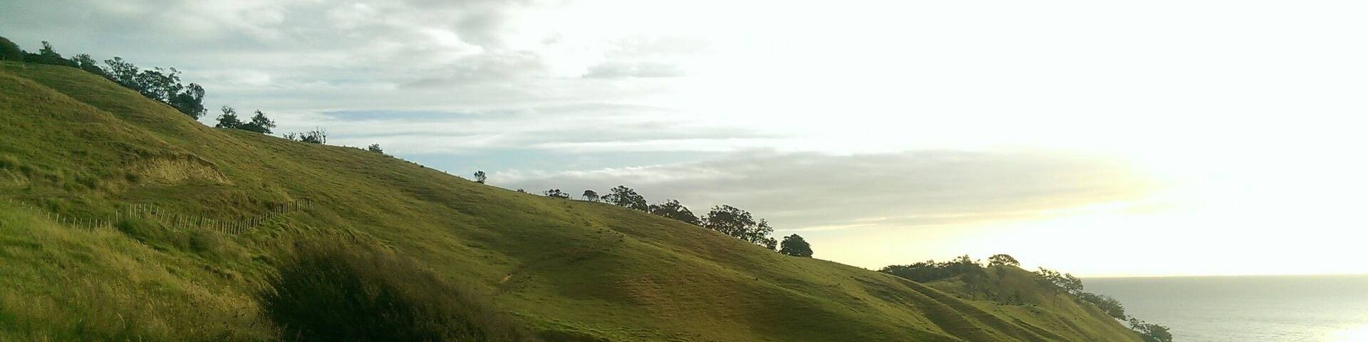 Beautiful drive up to Port Jackson in New Zealand #Green