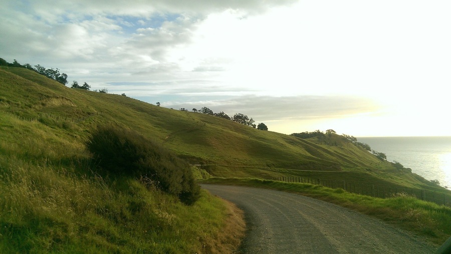 Beautiful drive up to Port Jackson in New Zealand #Green