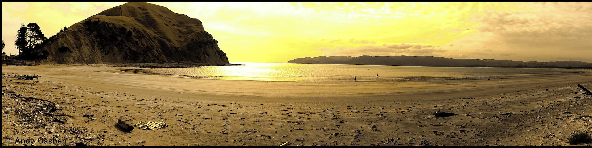 Great beaches in this area all sand, and a of choices for swimming as its a peninsula, the odd space rocket gets fired off too :-)