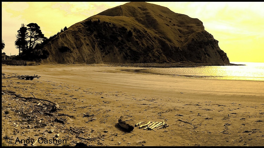Great beaches in this area all sand, and a of choices for swimming as its a peninsula, the odd space rocket gets fired off too :-)