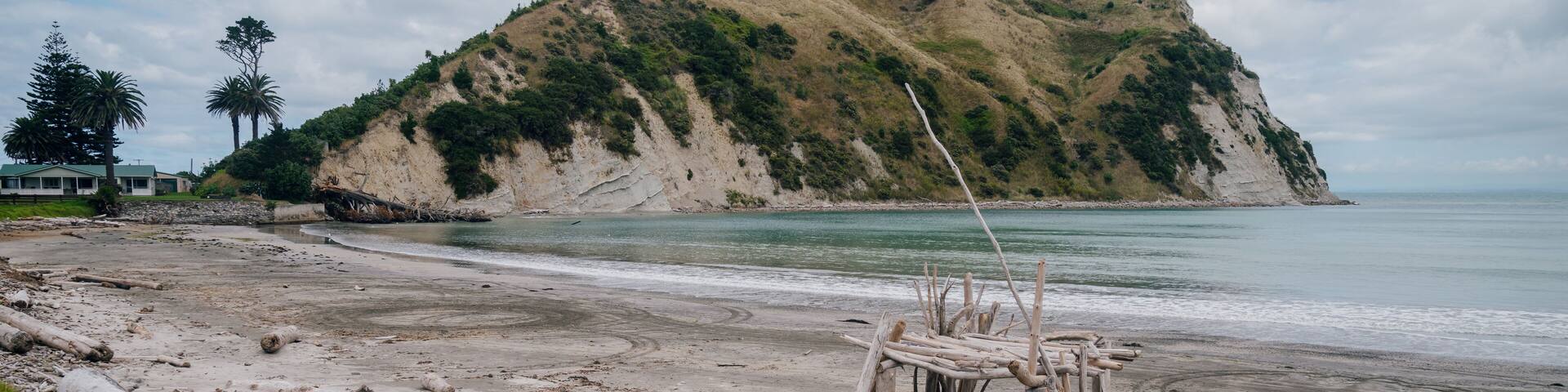 Driftwood on sandy beach in Mahia, Hawkes bay, New Zealand.