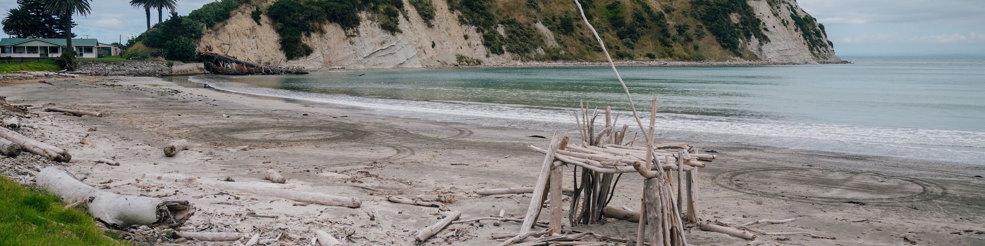 Driftwood on sandy beach in Mahia, Hawkes bay, New Zealand.
