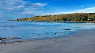 A beautiful winters day in Mahia. This isnât the main beach - you drive further around to this stunning bay.