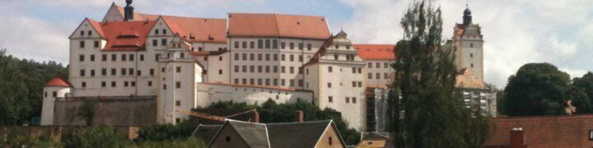 A large castle with red roofs and a prominent tower, surrounded by greenery and smaller buildings.