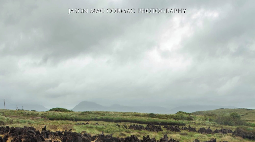 Drying turf near Connemara National Park County Galway
#solotrip #roadtrip #oldways #rural #wildatlanticway #galway #mayo #ireland