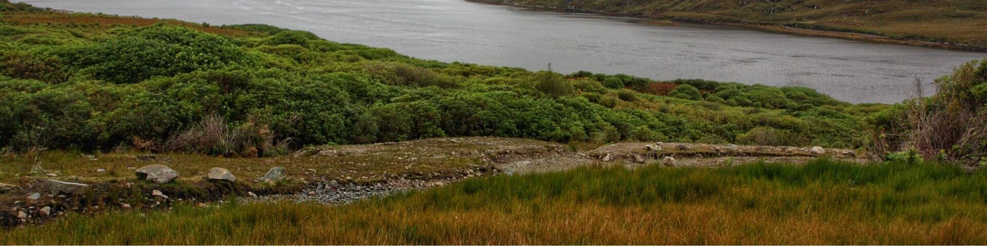 An impressive size Fjord .