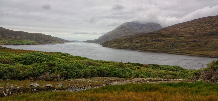 An impressive size Fjord .