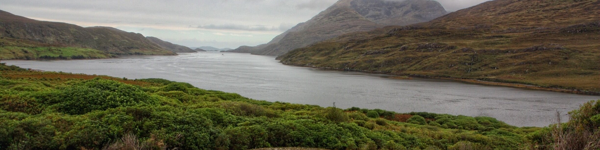 An impressive size Fjord .