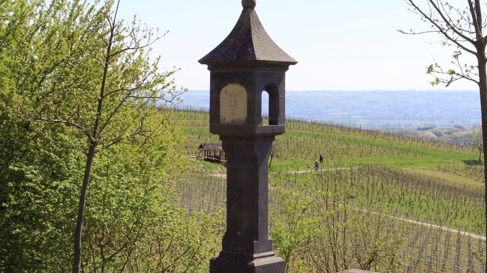 A stone tower with a clock, surrounded by a grassy area with a vineyard in the background.