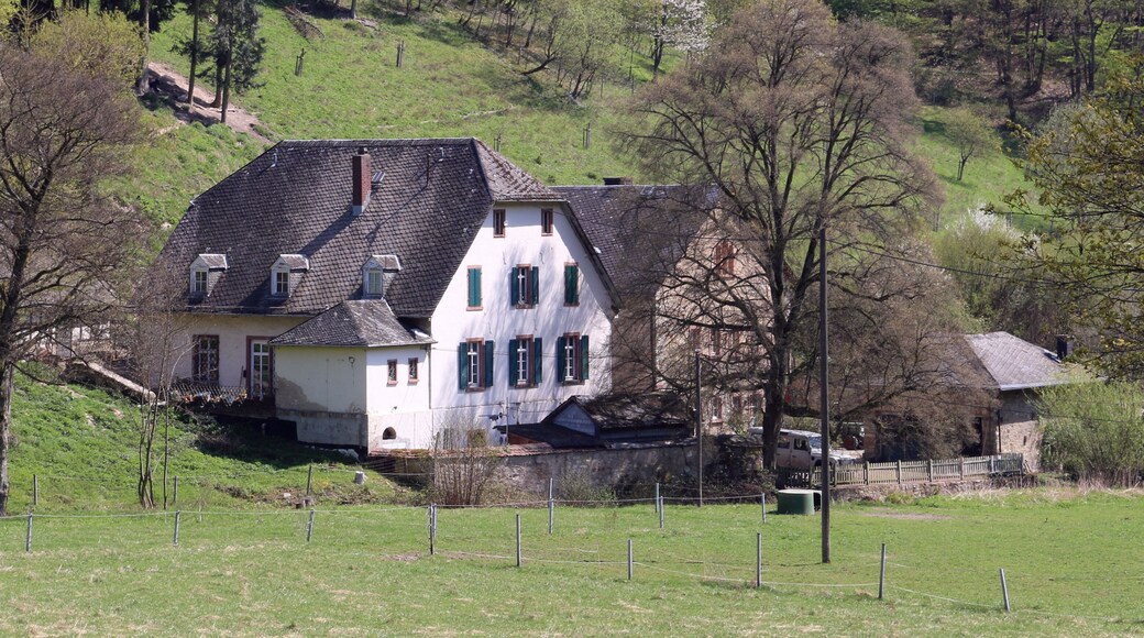 This is a picture of the hessian Kulturdenkmal (cultural monument) with the ID