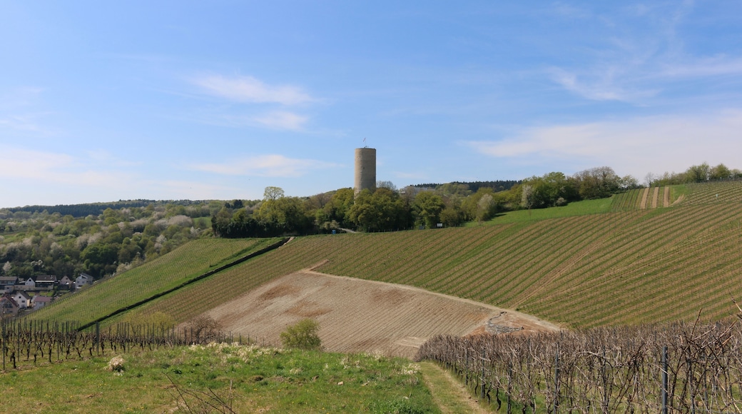 This is a picture of the hessian Kulturdenkmal (cultural monument) with the ID