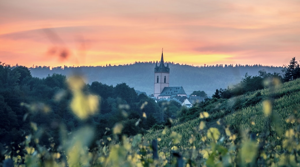 Old church in the German vineyard.
#culture