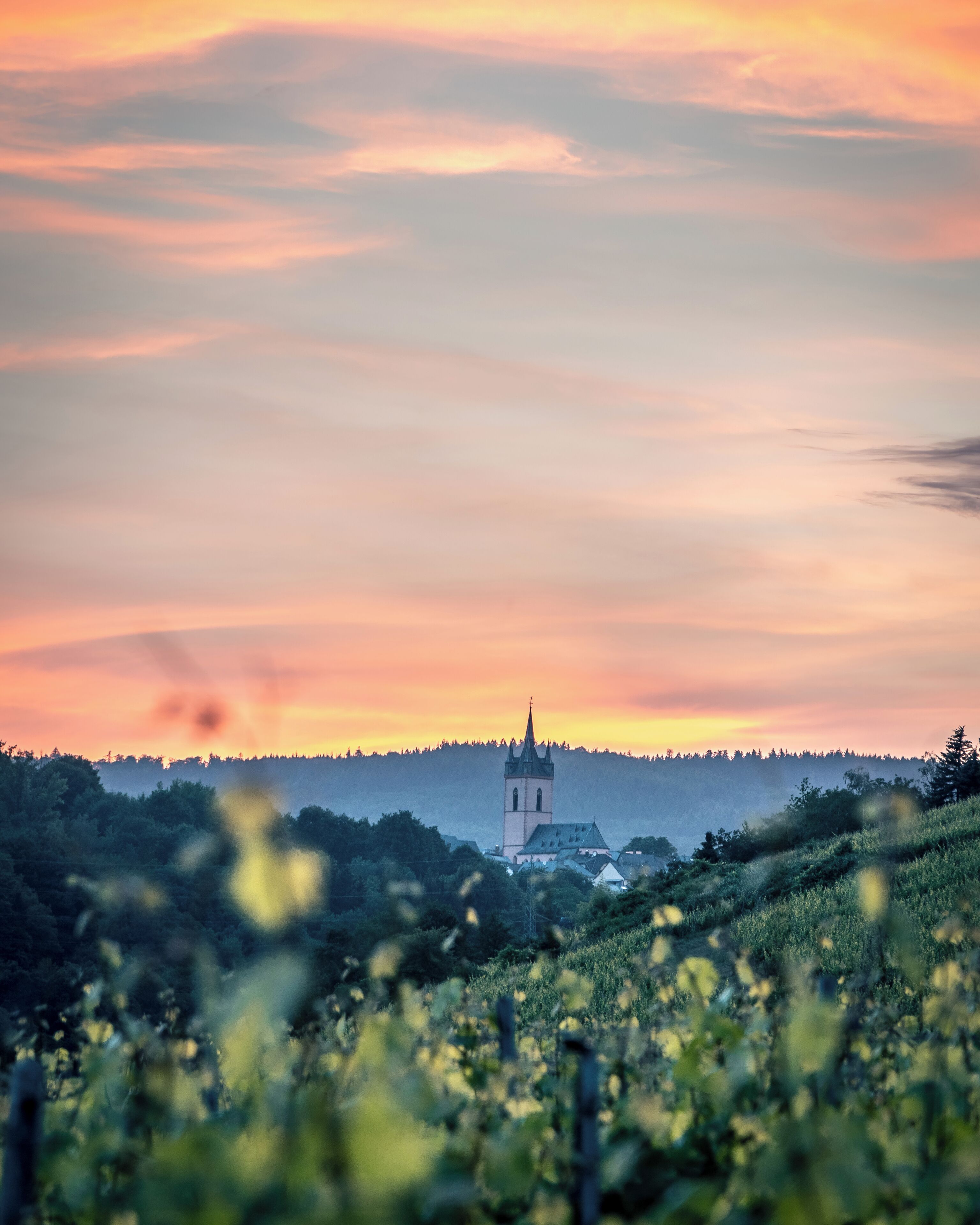 A church with a tall tower, surrounded by a forested hill and a field of flowers.