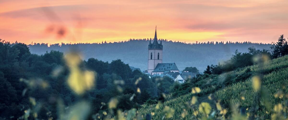 A church with a tall tower, surrounded by a forested hill and a field of flowers.