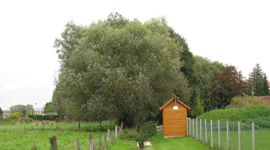 der Bach Glockenbrunnen unterhalb der Schäfergasse in Calden mit einem Pegelhaus