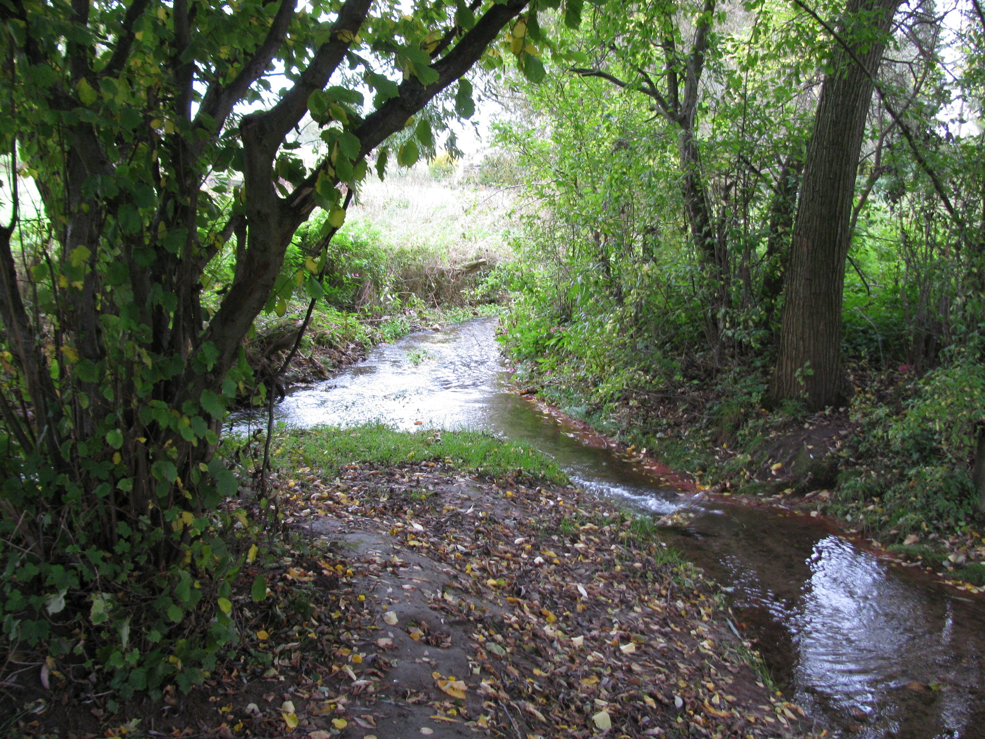 unterhalb des Spielplatzes Am Glockenbrunnen fließt von links kommend der Bach Glockenbrunnen in die Calde