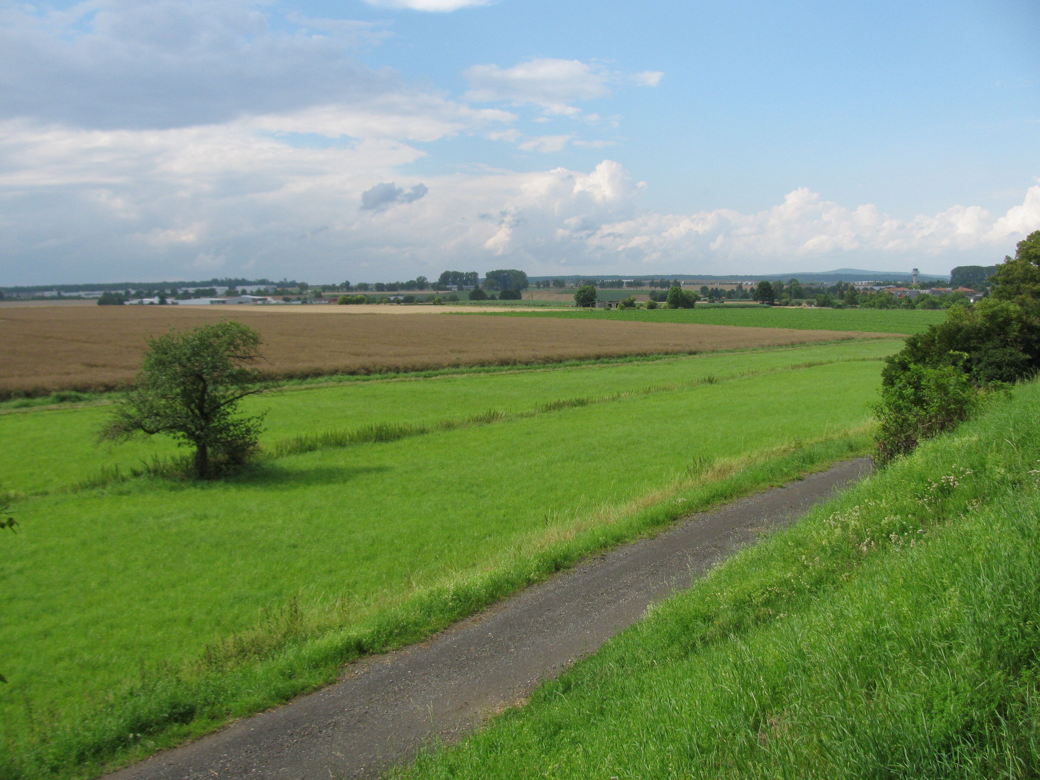 der Bach Calde im Tal südwestlich von Calden