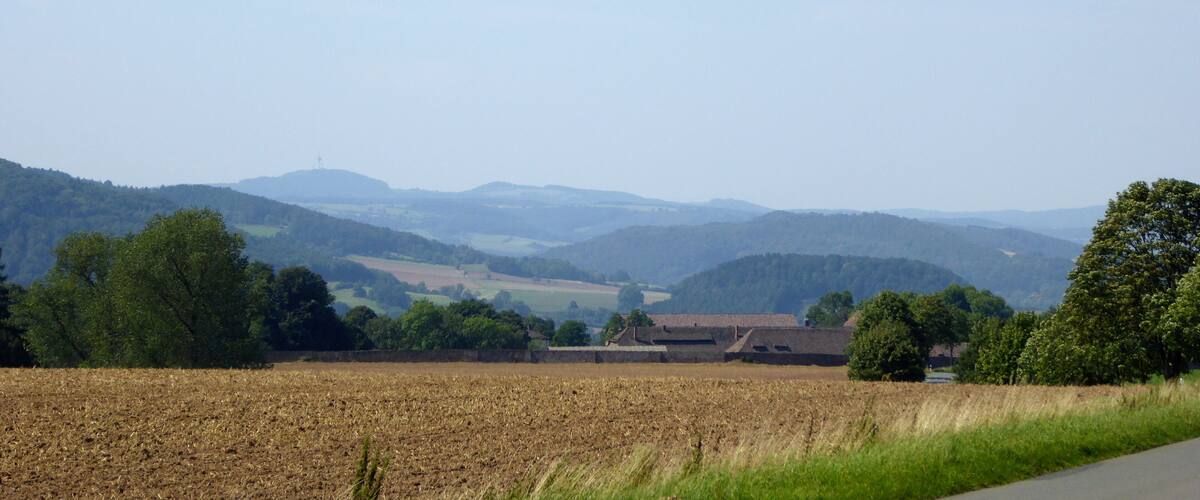 A rural landscape with a field, trees, and distant hills.