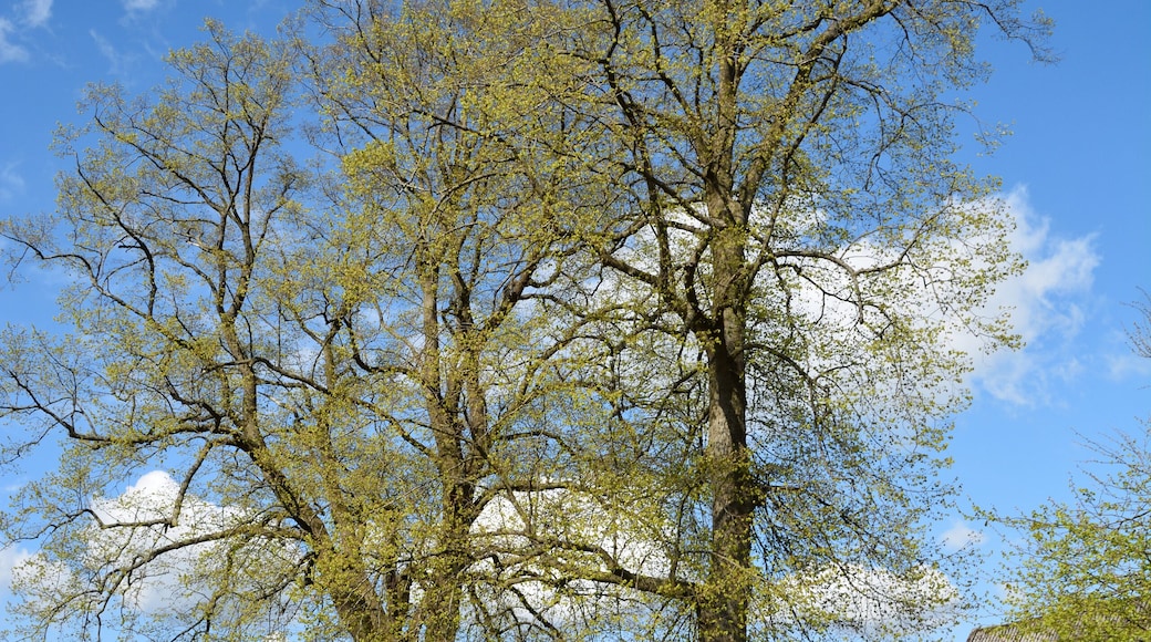 This image was uploaded as part of Wiki Loves Earth 2015.