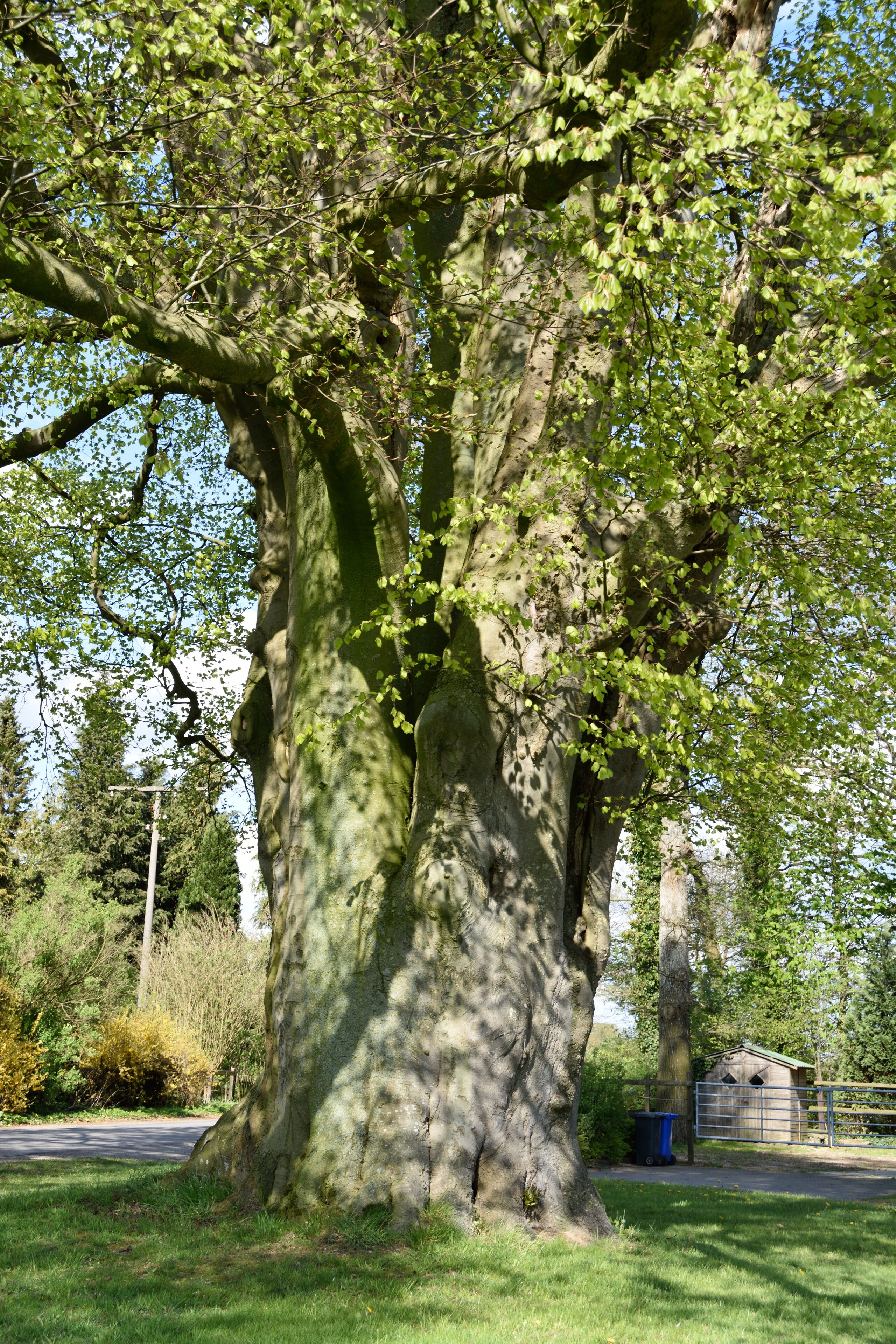 This image was uploaded as part of Wiki Loves Earth 2015.