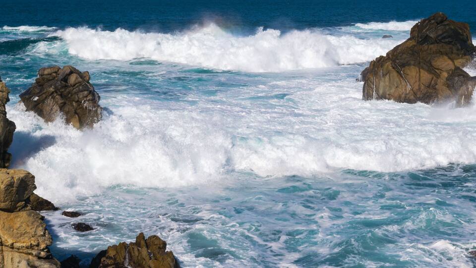 Point Lobos State Natural Reserve, Big Sur, Carmel Highlands, Monterey County, California, USA
