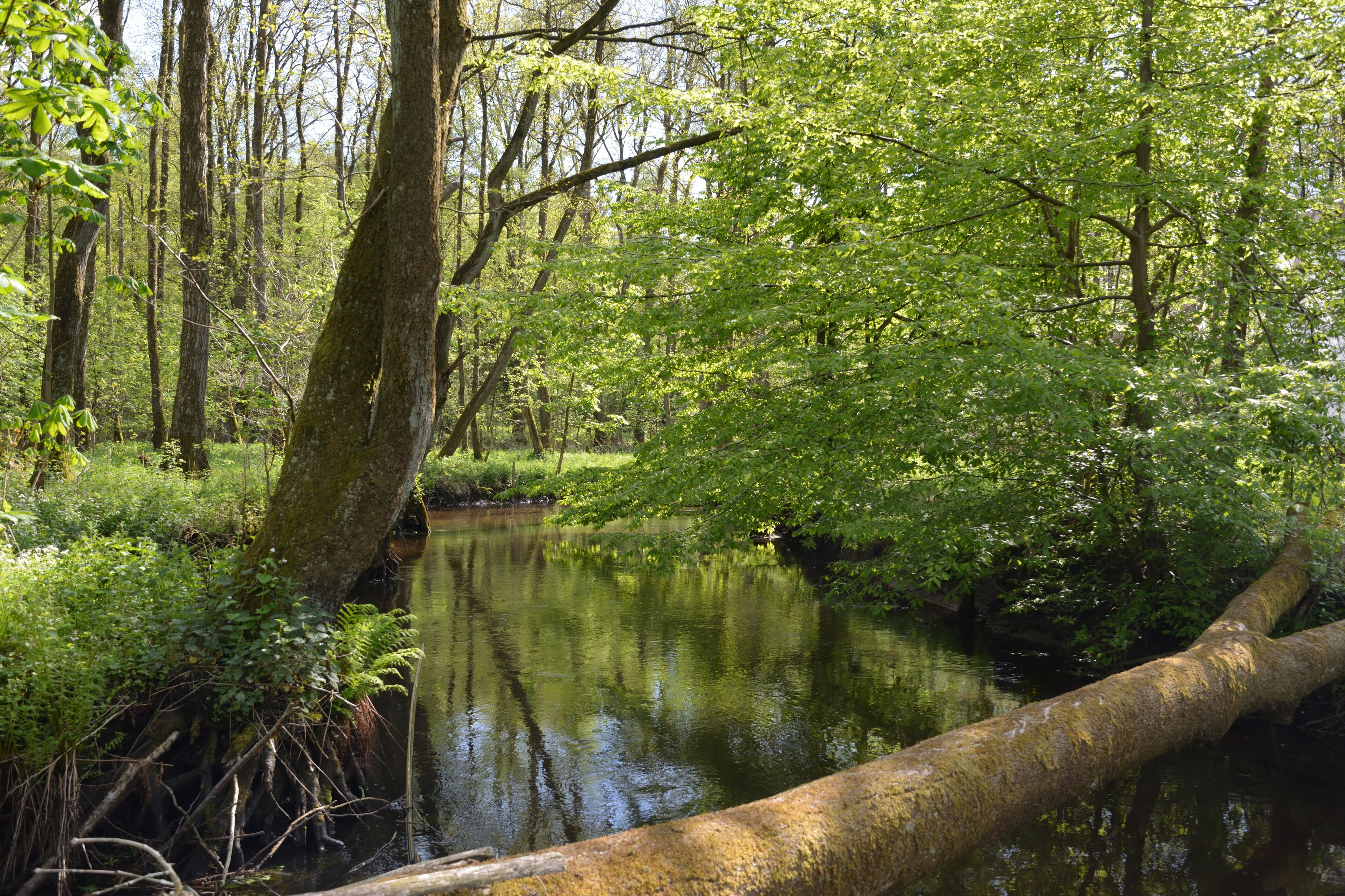 This is a picture of the protected area listed at WDPA under the ID